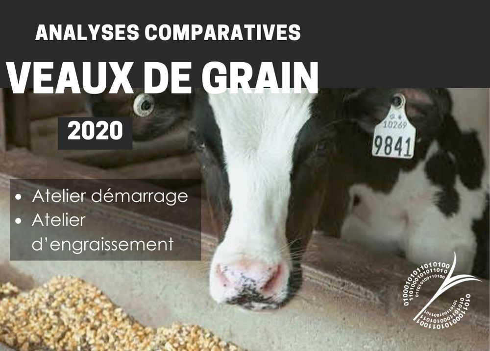 Analyses comparatives : ANALYSES COMPARATIVES - VEAUX DE GRAIN 2020