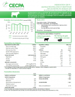Études de coûts de production : Indexation 2019 Bouvillons d'abattage