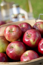 Outils : Pommes tardives - Outil de comparaison