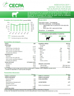 Études de coûts de production : Indexation 2019 - Veaux de grain