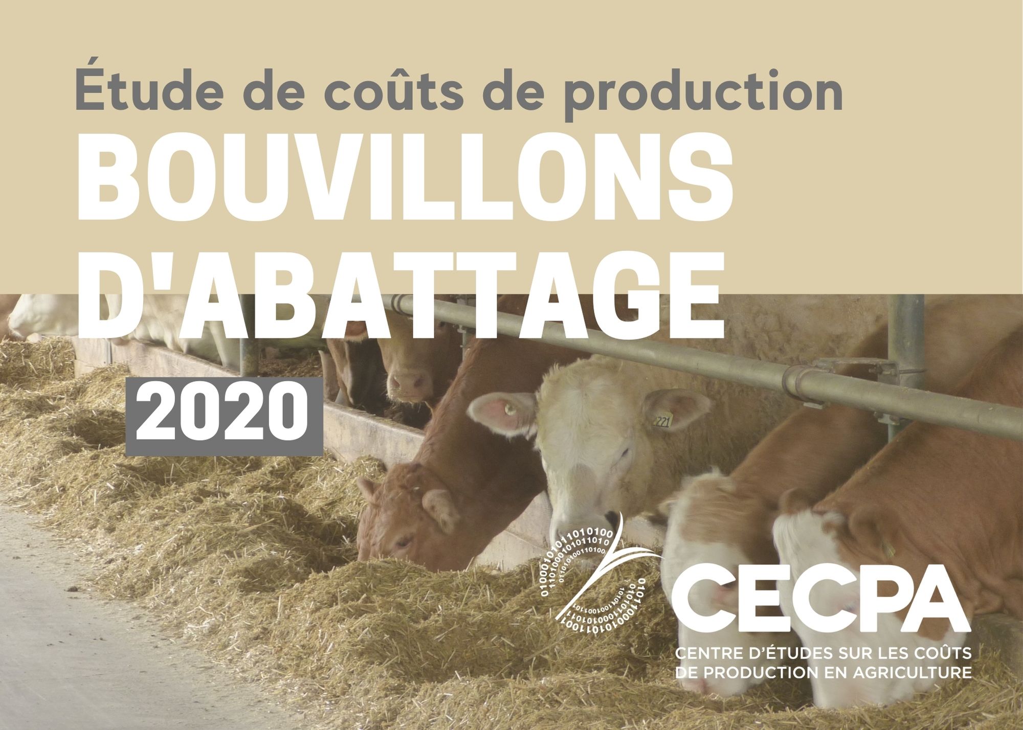 Études de coûts de production : ÉTUDE DE COÛT DE PRODUCTION - BOUVILLONS D'ABATTAGE 2020