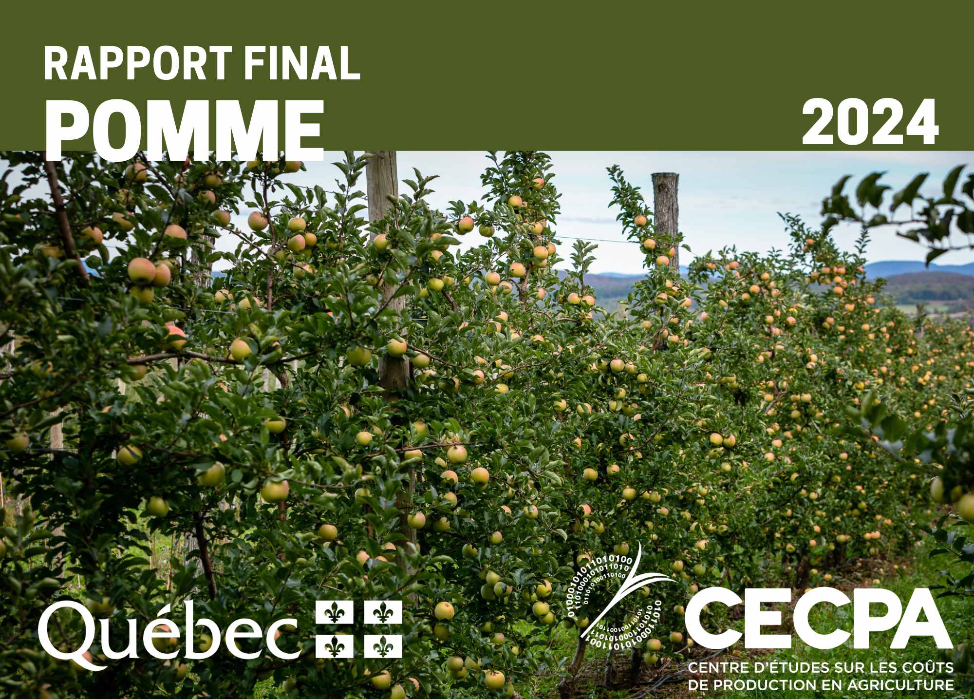 étude : RAPPORT FINAL - POMME 2024