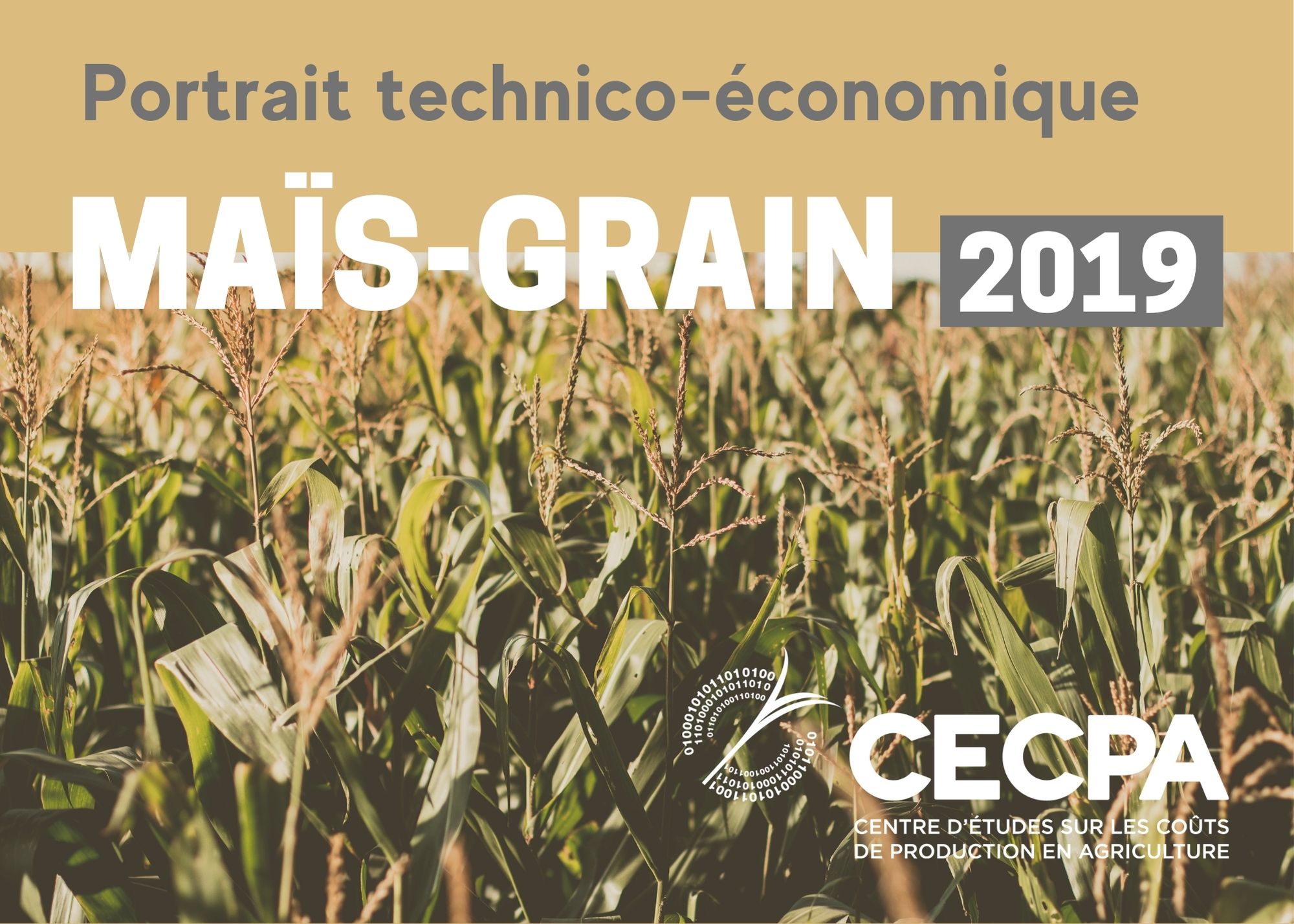 étude : Portrait technico-économique - Maïs-grain 2019