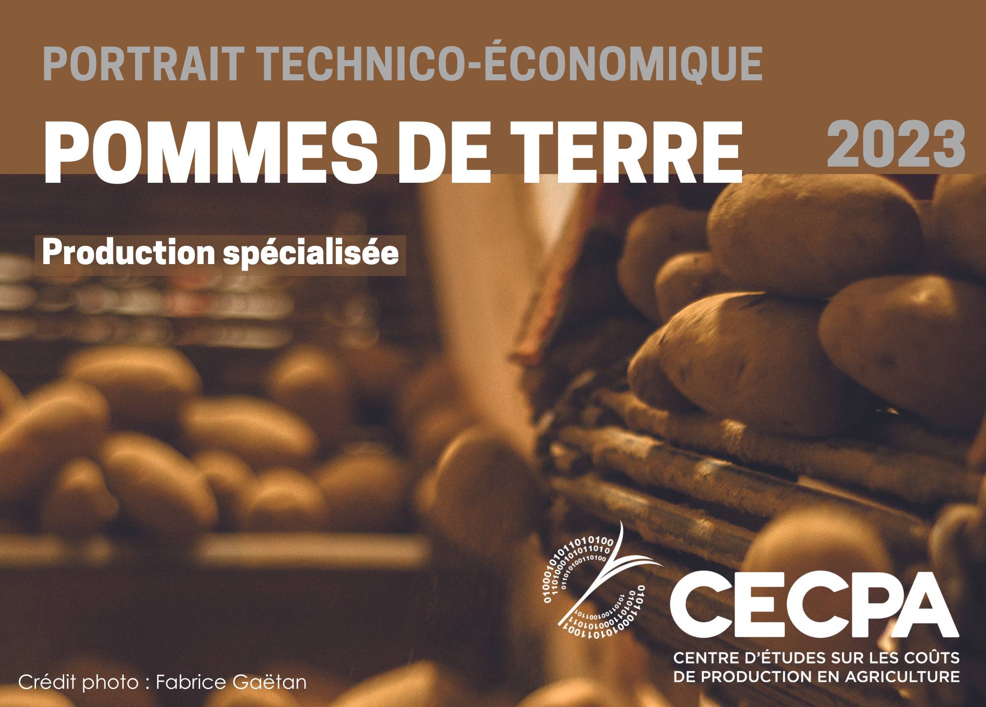 Études de coûts de production : PORTRAIT TECHNICO-ÉCONOMIQUE - POMMES DE TERRE Production spécialisée