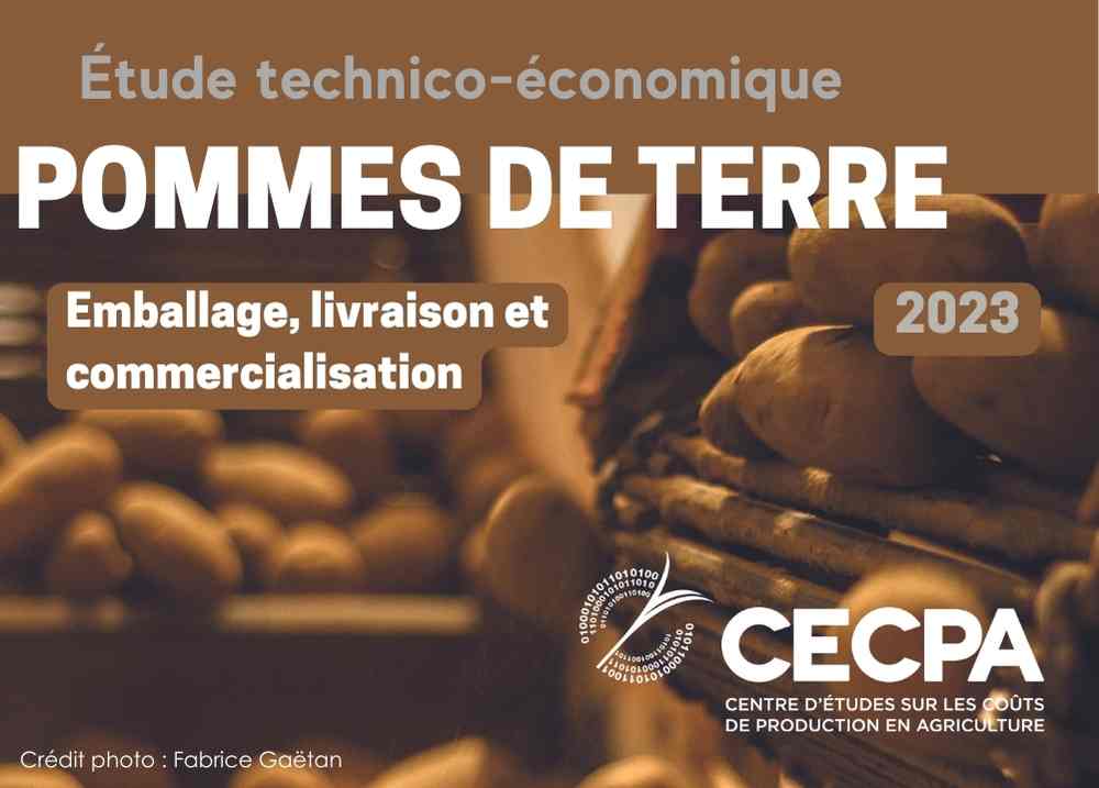 Études de coûts de production : ÉTUDE TECHNICO-ÉCONOMIQUE - POMMES DE TERRE EMBALLAGE 2023