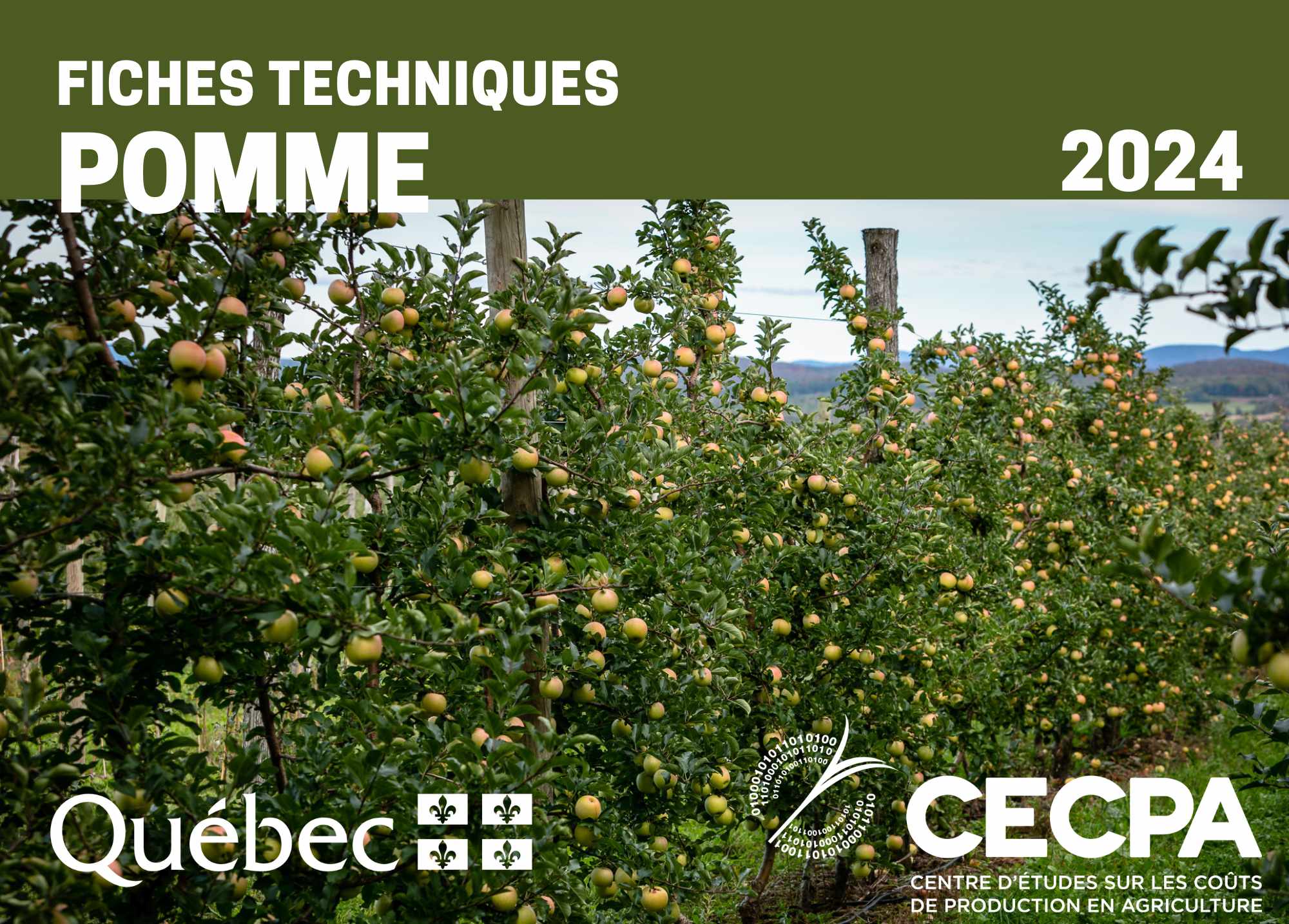 étude : FICHES TECHNIQUES - POMME 2024