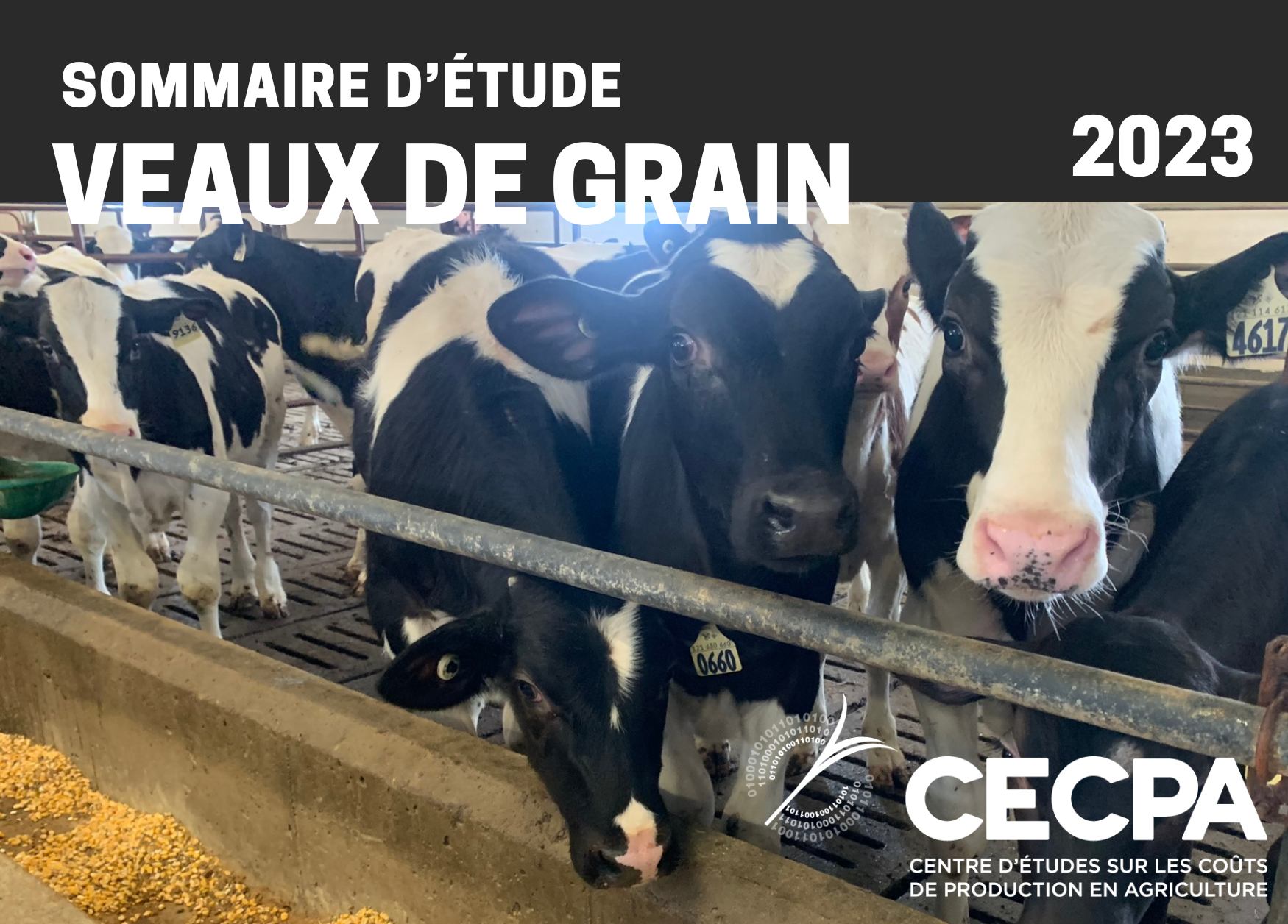 Études de coûts de production : SOMMAIRE - COÛT DE PRODUCTION - VEAUX DE GRAIN 2023